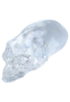 印第安纳琼斯 Kingdom of the Crystal Skull-资料图