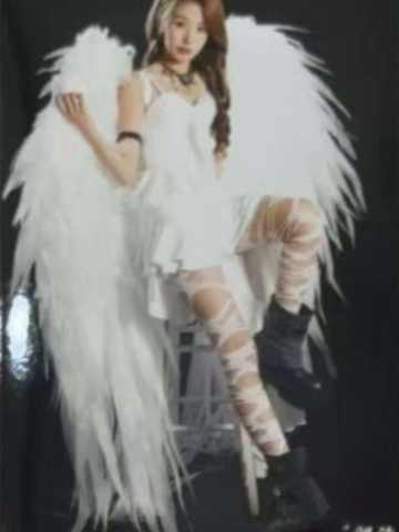 刘洁 PlanB毕业生写 ver.E