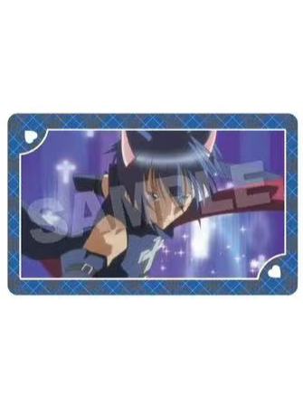 月咏几斗5-SN回忆双人池场面写系列闪卡B盒