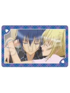 月咏几斗&月咏歌呗2-SN回忆双人池场面写系列闪卡B盒