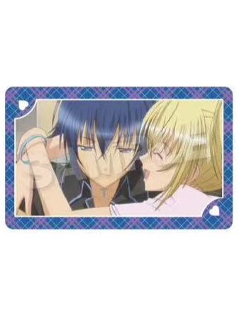 月咏几斗&月咏歌呗2-SN回忆双人池场面写系列闪卡B盒