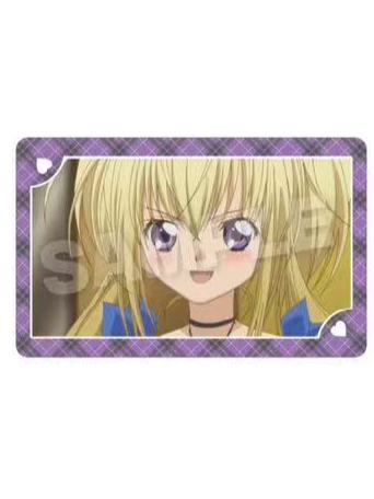 月咏歌呗5-SN回忆双人池场面写系列闪卡B盒