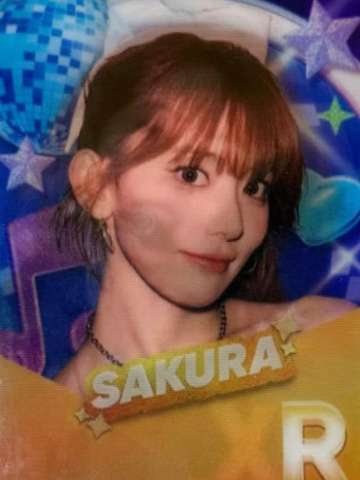 首尔安可场周游戏卡 樱ver.C