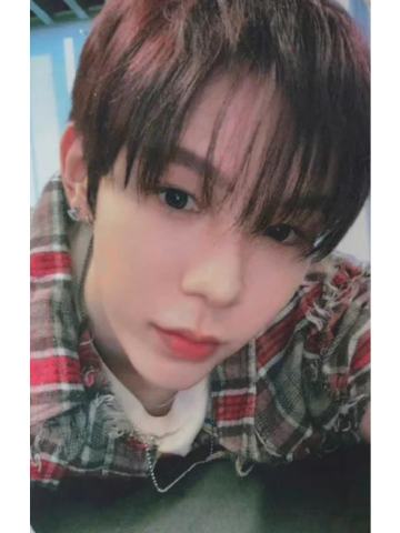 ny马尼拉合影 酱