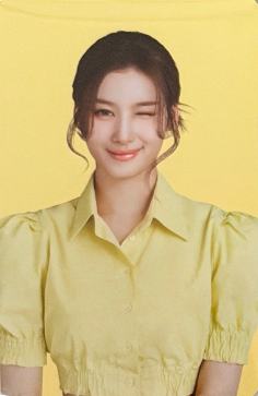 康普茶代言卡 纱