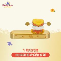 史高治车载号码牌-26上迪新春史高治系列-资料图