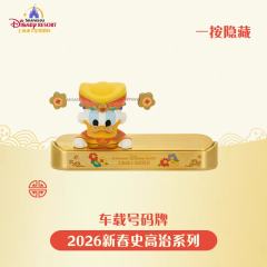史高治车载号码牌-26上迪新春史高治系列-资料图