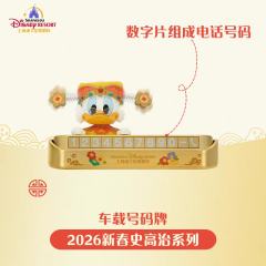 史高治车载号码牌-26上迪新春史高治系列-资料图