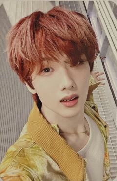 快闪B版随机卡 星 自拍ver.