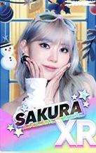 首尔安可场周游戏卡 樱ver.A