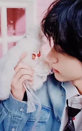 奇梦岛代言限定卡 ver.B