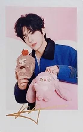 奇梦岛代言拍立得 ver.D