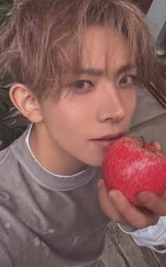 wvs sc直播卡1 ver.A