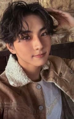 wvs sc直播卡6 ver.B