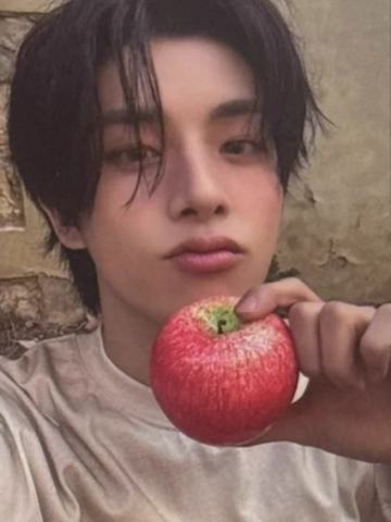 wvs sc直播卡3 ver.A