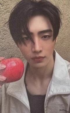 wvs sc直播卡4 ver.A