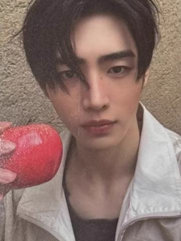 wvs sc直播卡4 ver.A