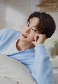 柳丝木代言隐藏卡 ver.C