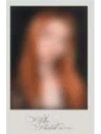 演唱会回忆录 wvs 允