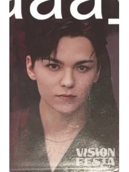 vision festa入场卡2.0 率