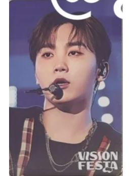 vision festa入场卡2.0 甜