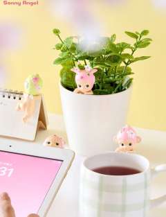 樱花趴趴系列-资料图