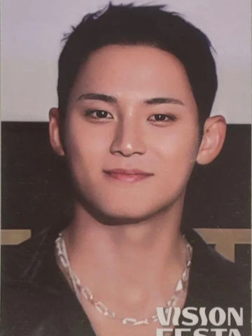 vision festa入场卡2.0 奎