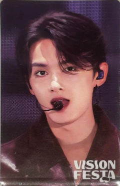 vision festa入场卡2.0 俊