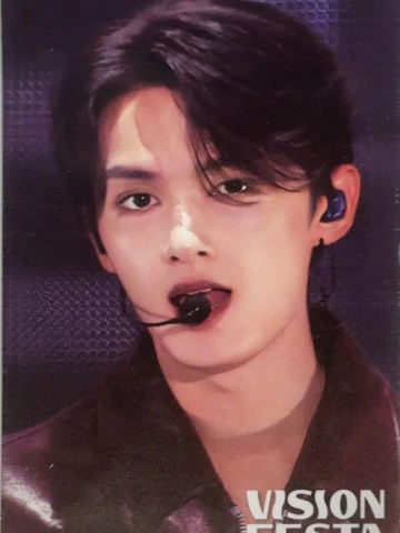 vision festa入场卡2.0 俊