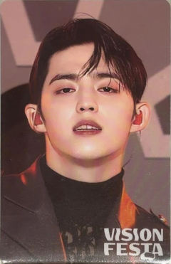 vision festa入场卡2.0 澈