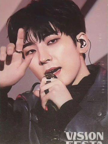 vision festa入场卡2.0 圆