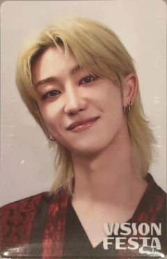 vision festa入场卡2.0 八