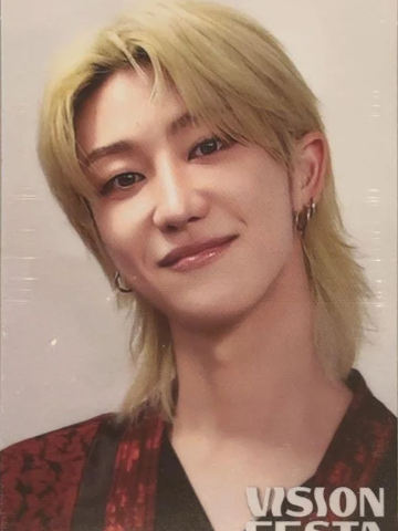 vision festa入场卡2.0 八