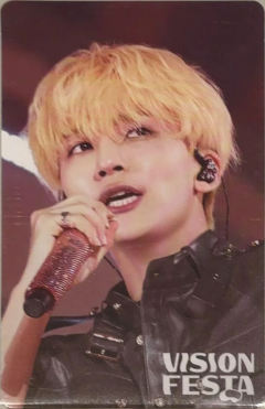 vision festa入场卡2.0 净