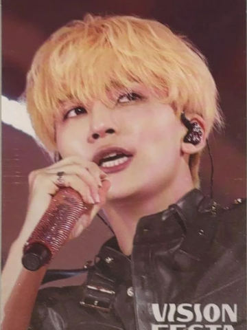 vision festa入场卡2.0 净