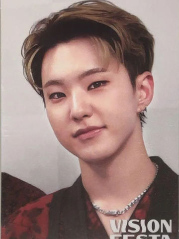 vision festa入场卡2.0 荣