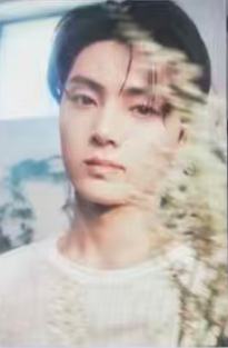 六期会员礼明信片2 ver.B