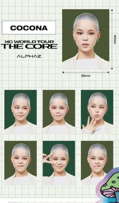 日巡证件照贴纸7