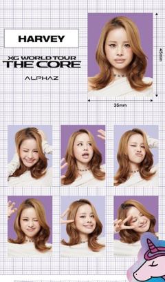 日巡证件照贴纸4