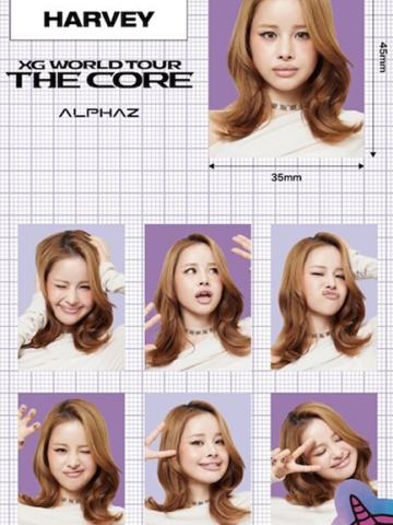 日巡证件照贴纸4