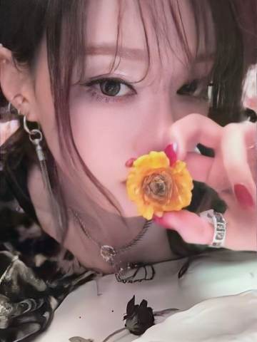 亚马逊限定case版专卡 冬