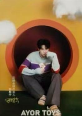 AYORTOYS兔闪闪三代卡 ver.B