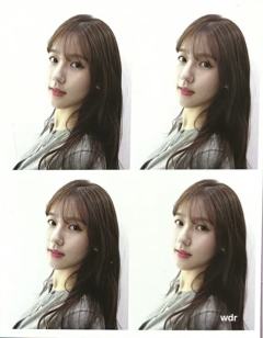 证件照四宫格面