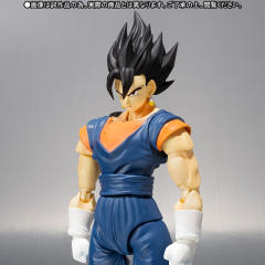 SHF 贝吉特-资料图