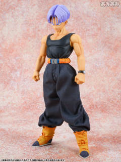 Dimension of Dragonball 未来特兰克斯 -资料图