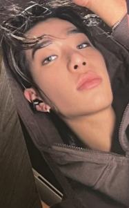 bose耳机代言卡 泰山