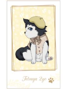 哲也二号拍立得-南家糖植物图鉴黄濑ver.