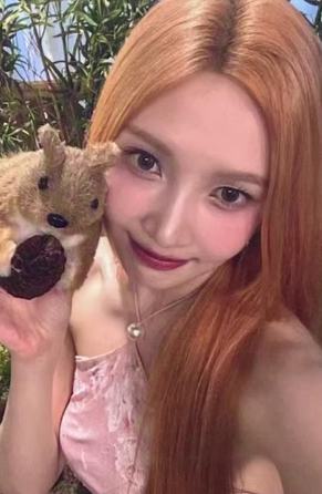 官周随机卡 ver.B3