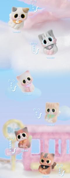 lucky组-肉桂英短咪-资料图