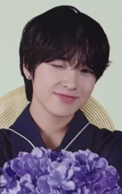 nct zone园丁 6 官拍ver.